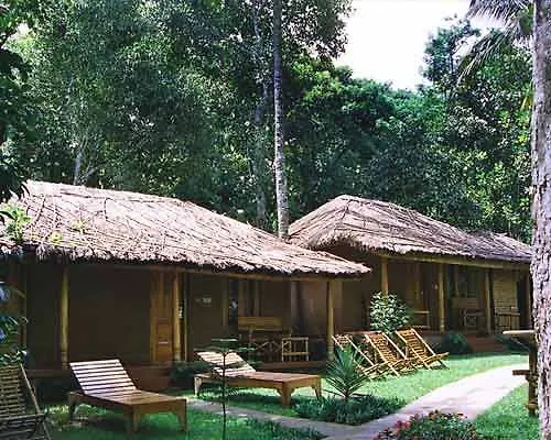 Saj Jungle Village Теккади Индия